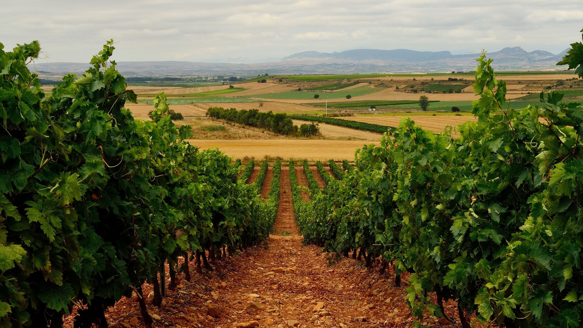 Hoteles con encanto en La Rioja