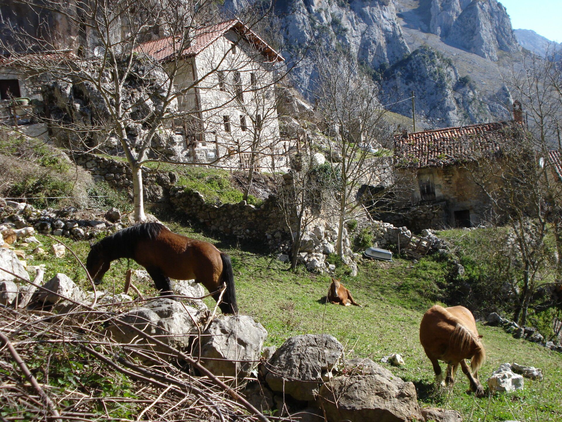 Hoteles con encanto en Asturias