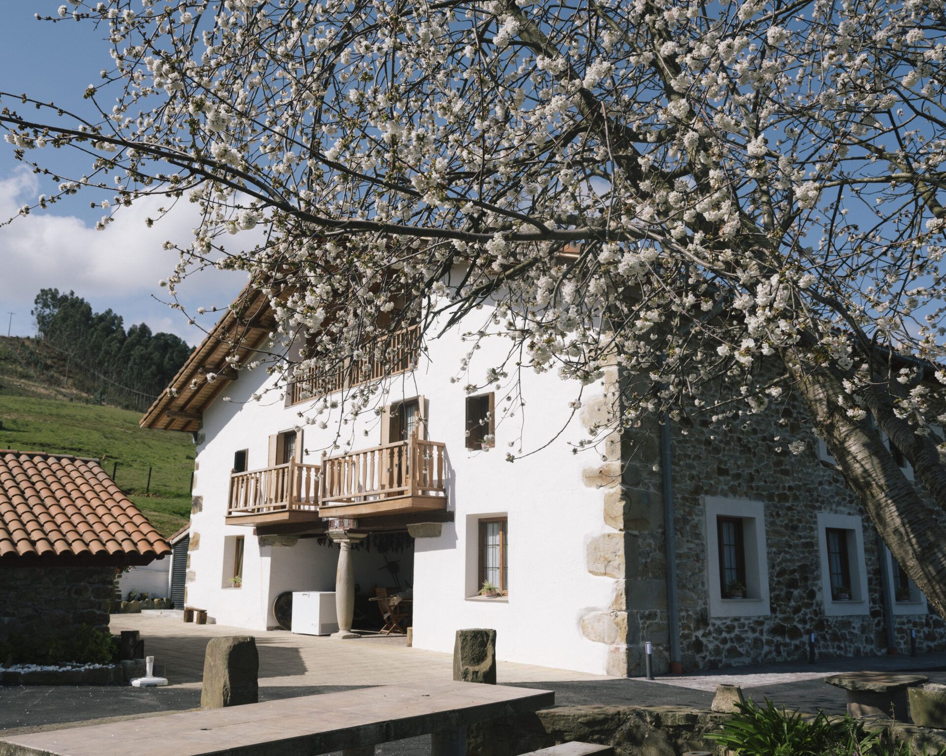 Hoteles con encanto en País Vasco
