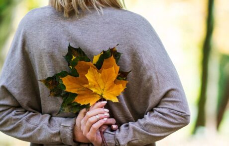 Viaje en otoño