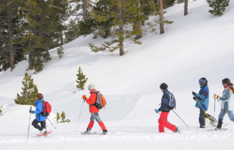 Top 5 hoteles para esquiar