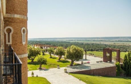 Top 5 Hoteles con viñedo propio