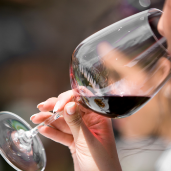 regalar cata de vinos