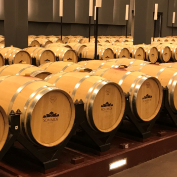 visita a bodega con cata de vinos para dos