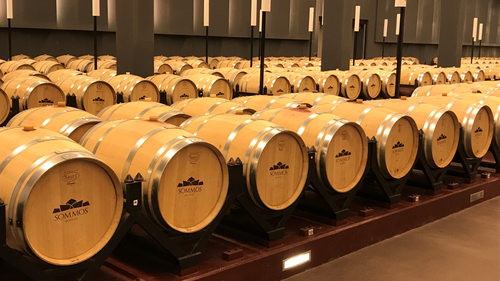 visita a bodega con cata de vinos para dos visita a bodega con cata de vinos para dos