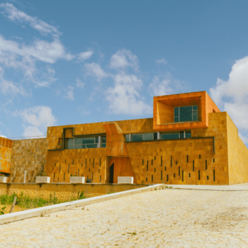 experiencia enoturismo