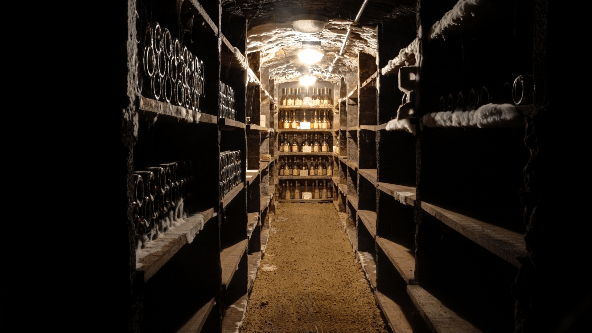 regalar cata de vinos regalar cata de vinos