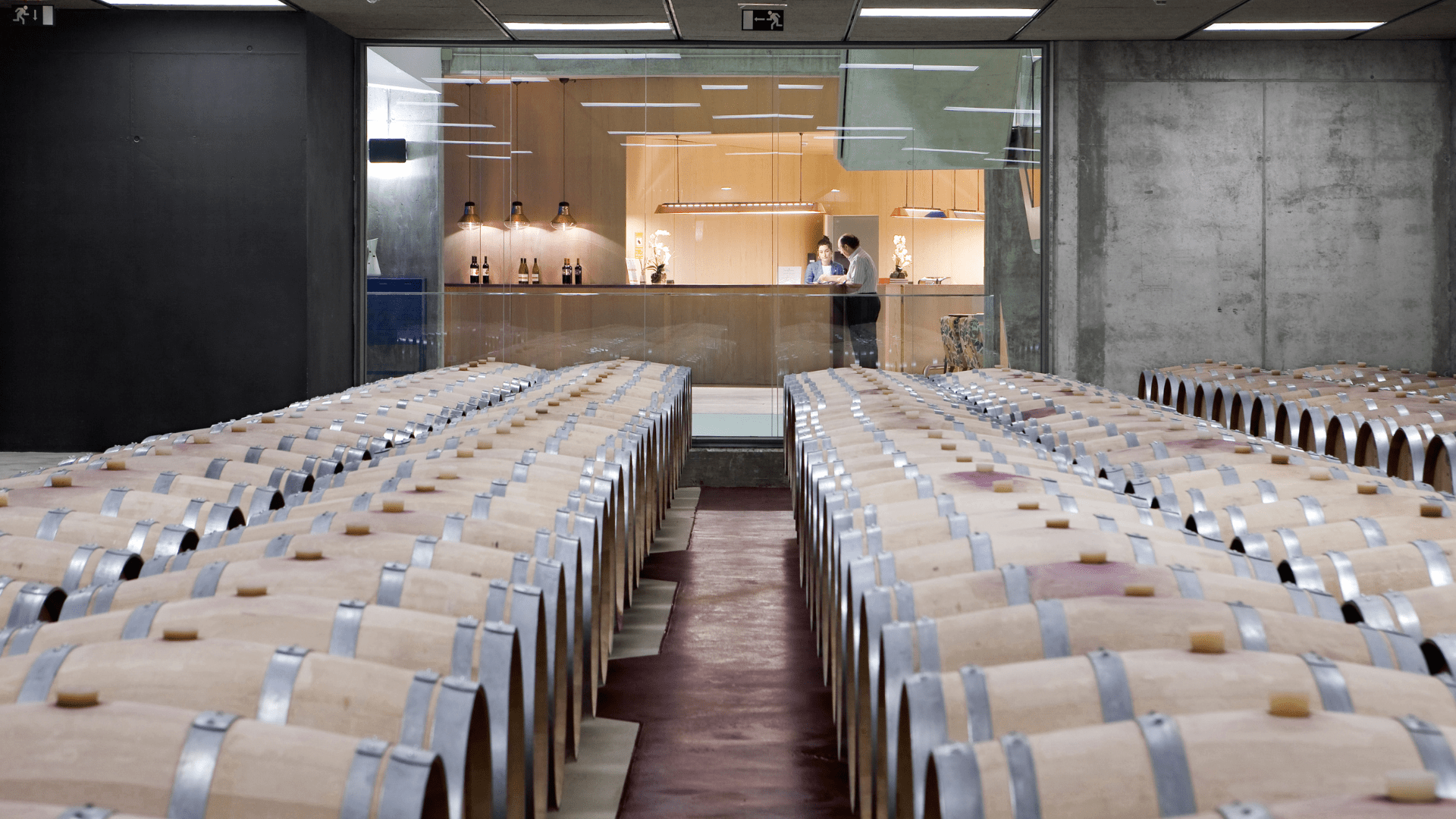 visita a bodega con cata de vinos para dos visita a bodega con cata de vinos para dos