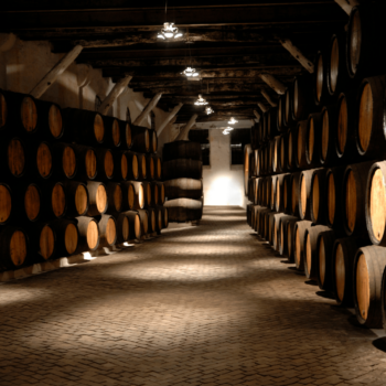 regalar cata de vinos