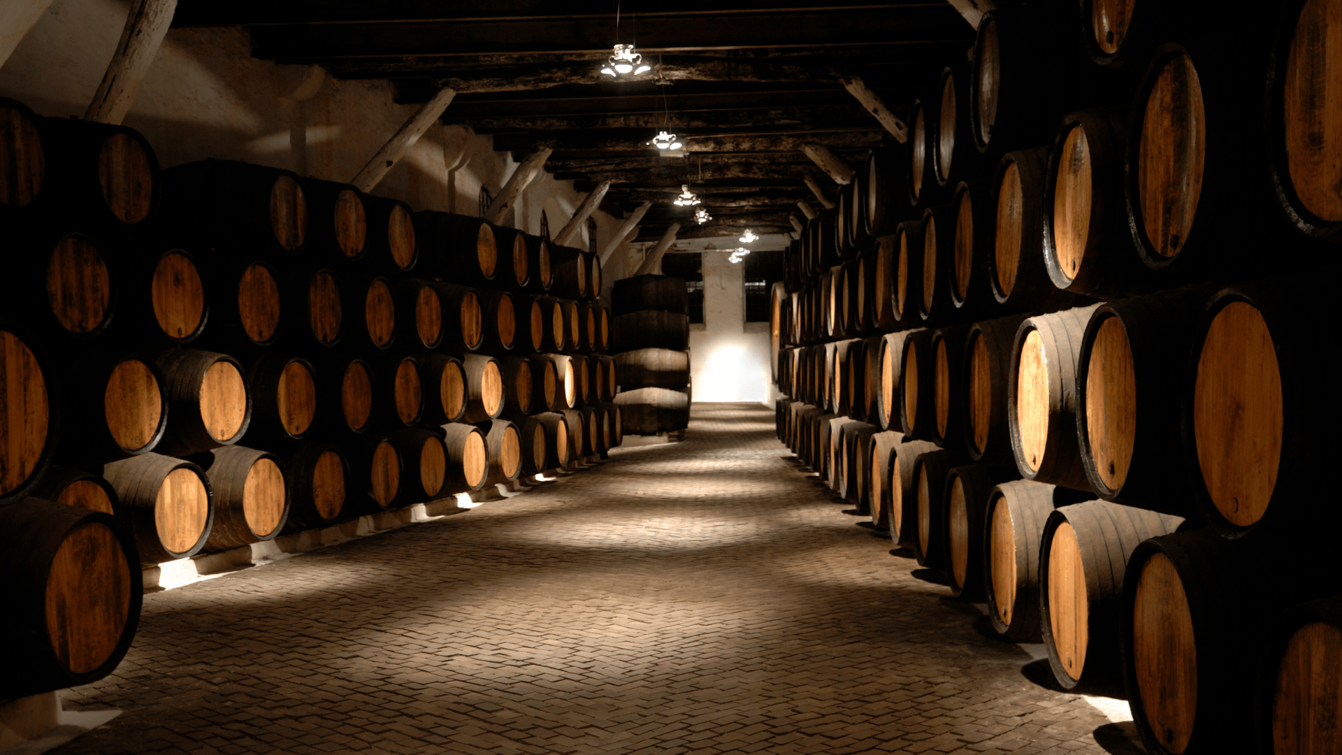 regalar cata de vinos regalar cata de vinos