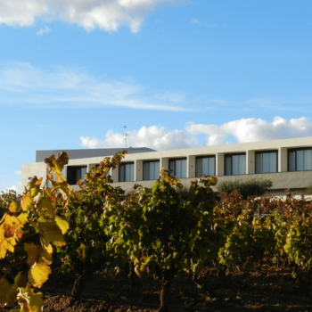visita a bodega con cata de vinos para dos