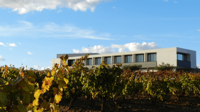 visita a bodega con cata de vinos para dos