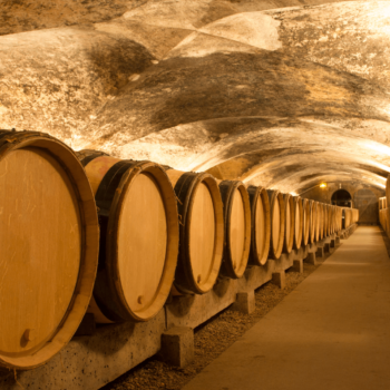 regalar cata de vinos