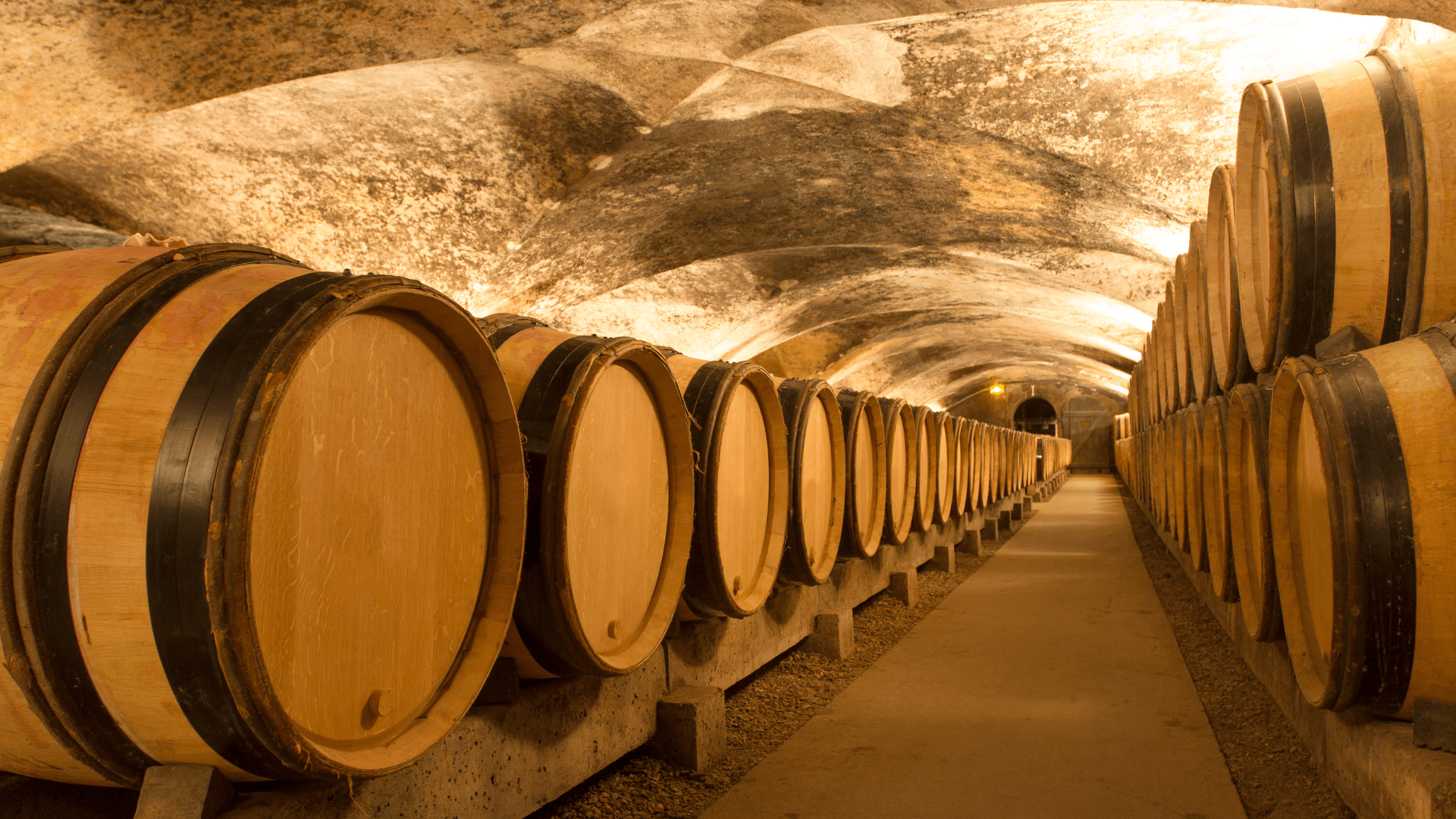 regalar cata de vinos regalar cata de vinos