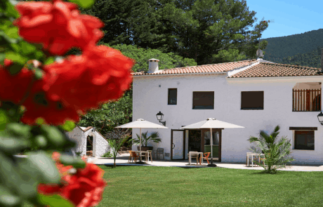 Apartamentos Cortijo Peñardera