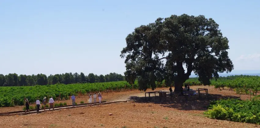 ruralka hoteles rurales con encanto
