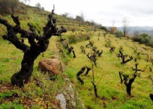 ruralka hoteles rurales con encanto