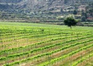 ruralka hoteles rurales con encanto