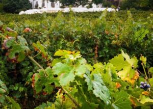 ruralka hoteles rurales con encanto