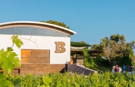 Bodegas Binifadet