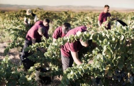 Bodegas Tempore