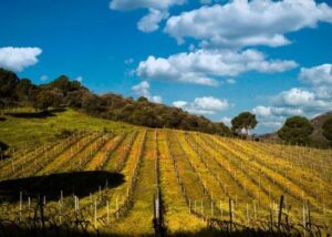 ruralka hoteles rurales con encanto
