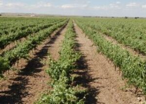 ruralka hoteles rurales con encanto
