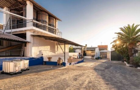 Bodega Amancio Menchero