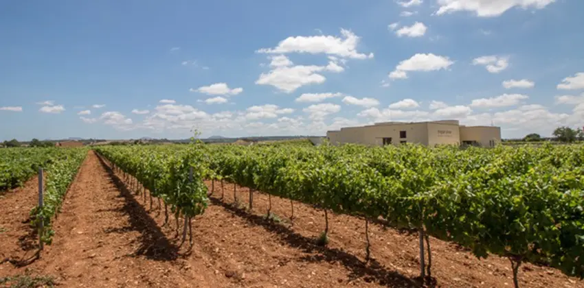 ruralka hoteles rurales con encanto