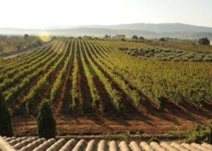 ruralka hoteles rurales con encanto