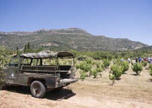 ruralka hoteles rurales con encanto