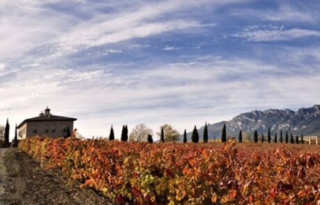 Bodega Torre de Oña