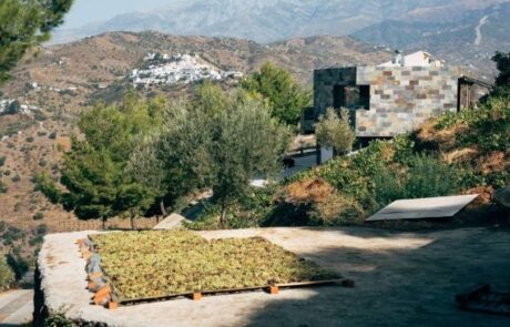 Bodegas Bentomiz