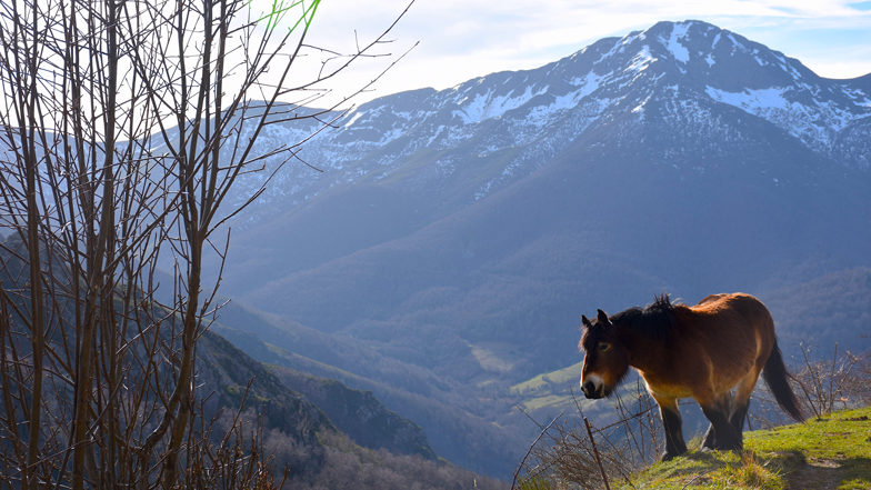 Terra Ecoturismo Asturias
