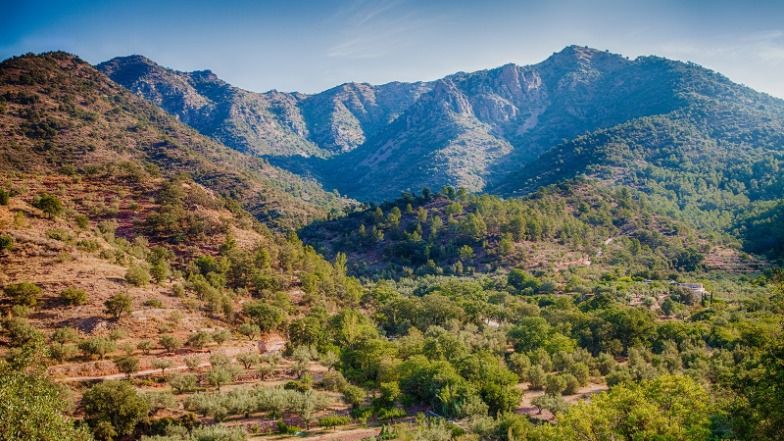 Masía el Mangranar