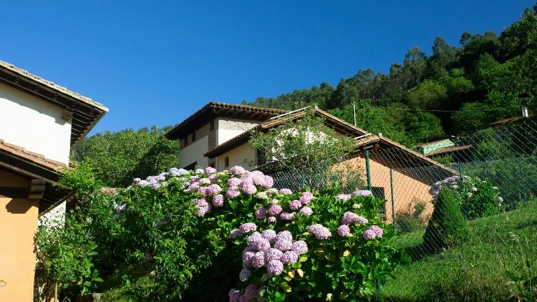 Hotel rural Valleoscuru