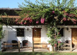 Ardea Purpurea Lodge