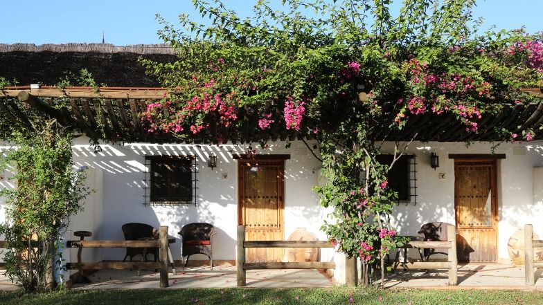 Ardea Purpurea Lodge