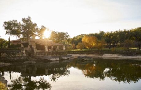 Finca el Cortiñal