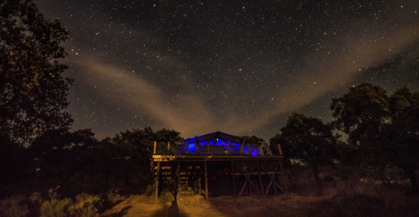Top 5 Hoteles Starlight