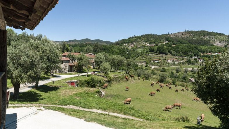 Quinta do Rapozinho