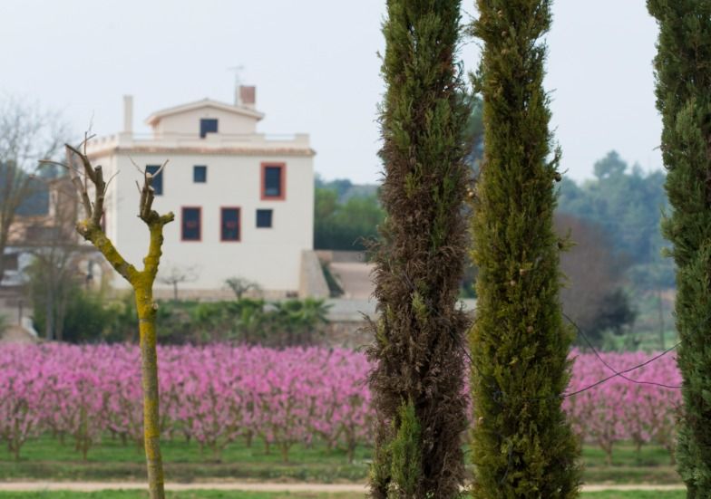 Hotel Rural Mas de l'illa