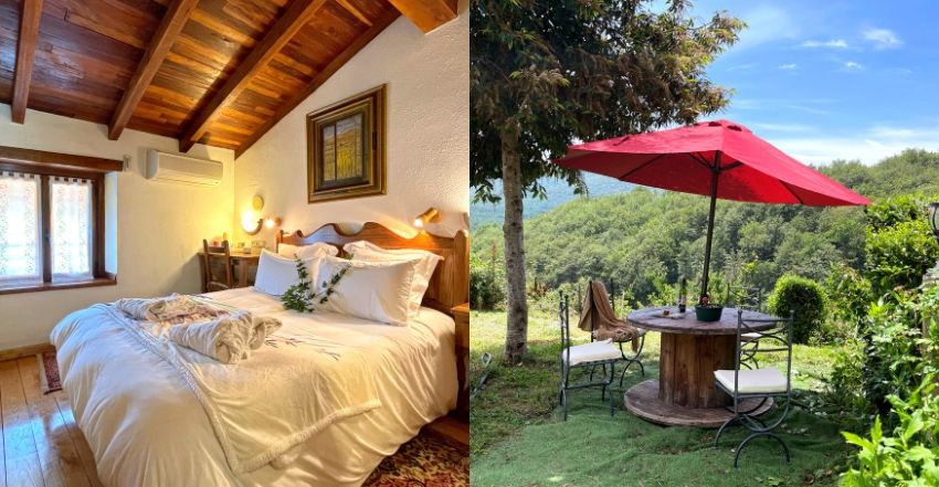 Top 5 hoteles en el bosque