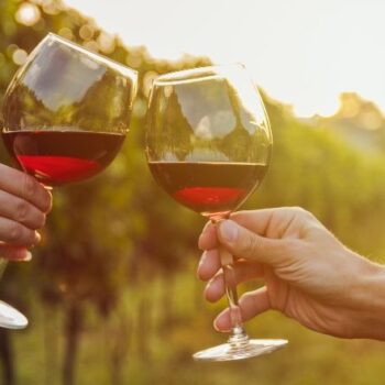 Escapada Vinoselección