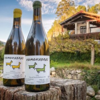 Escapada Vinoselección