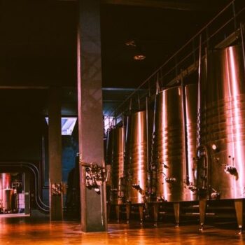 Escapada Vinoselección