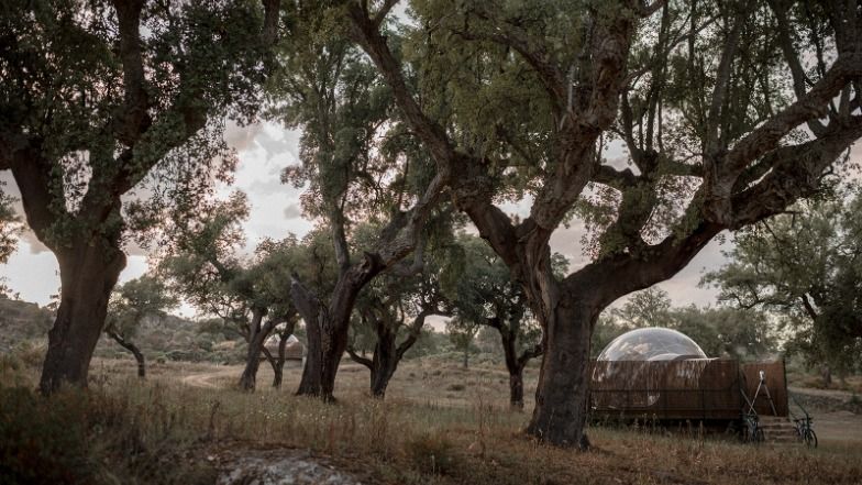 Finca el Cortiñal