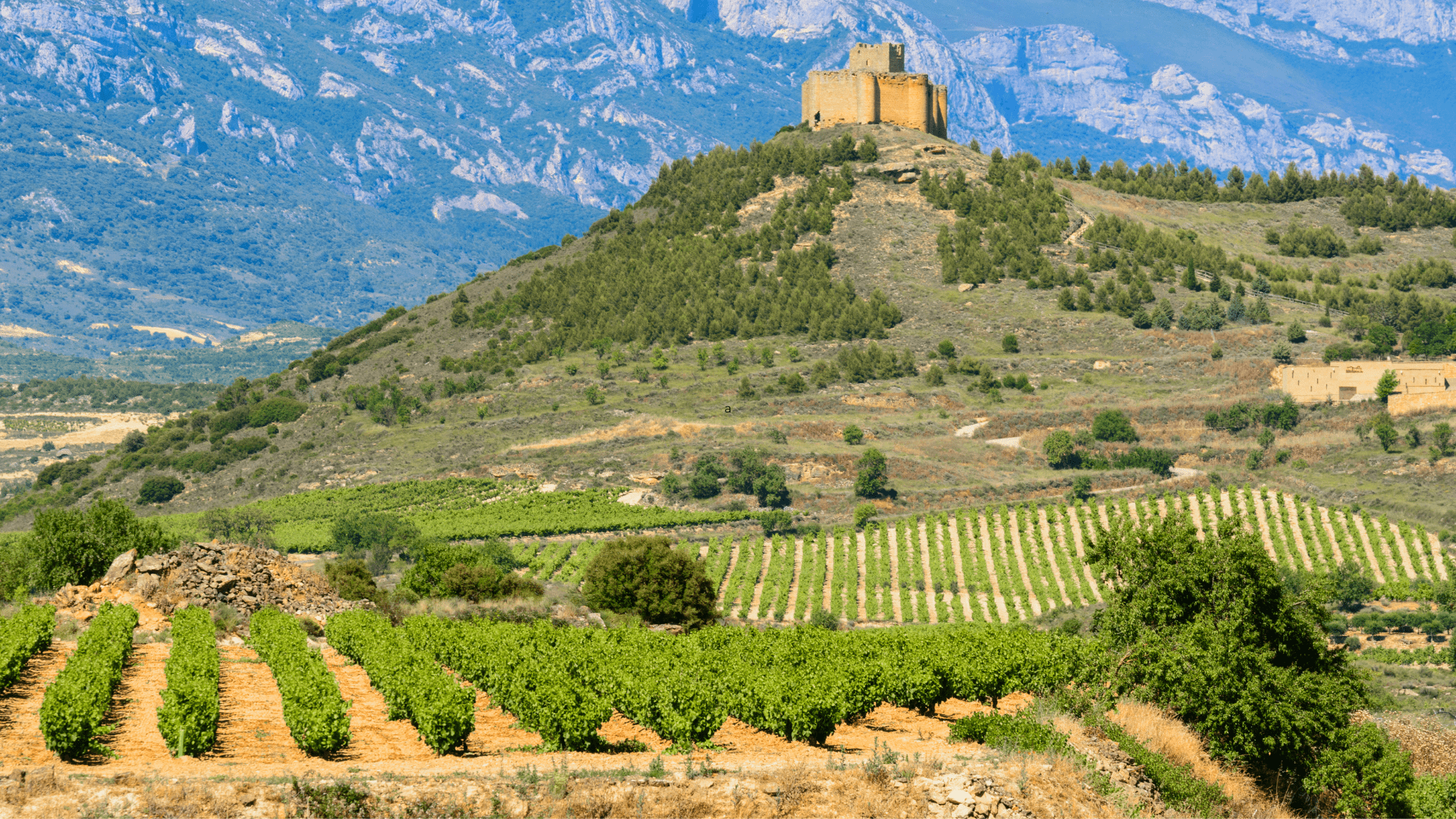 escapada a la rioja