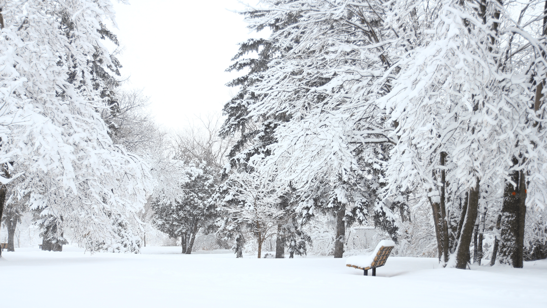 escapadas a la nieve