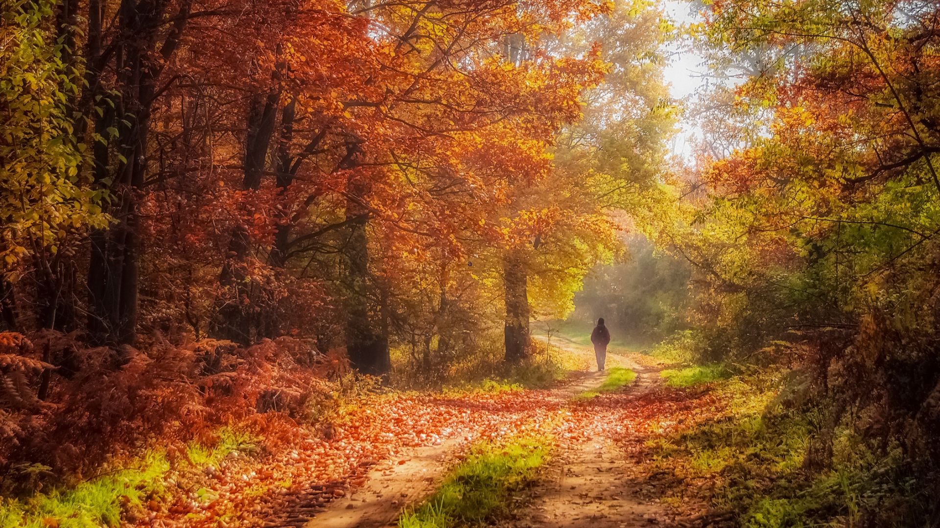 Escapadas en octubre